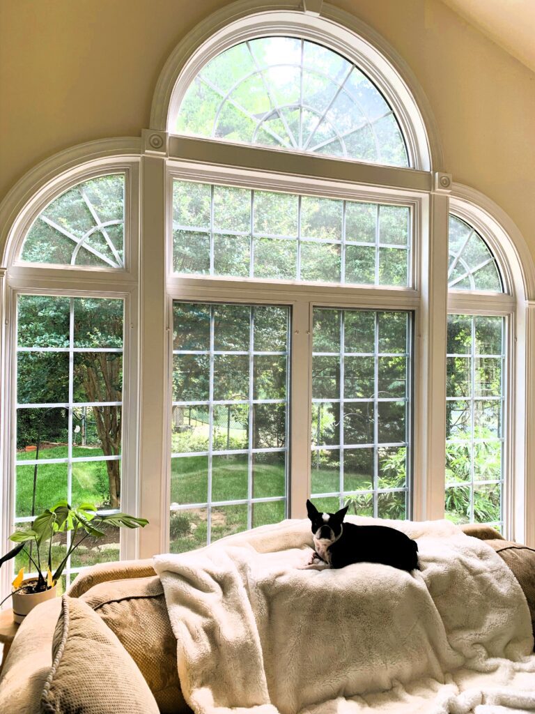 starr window interior